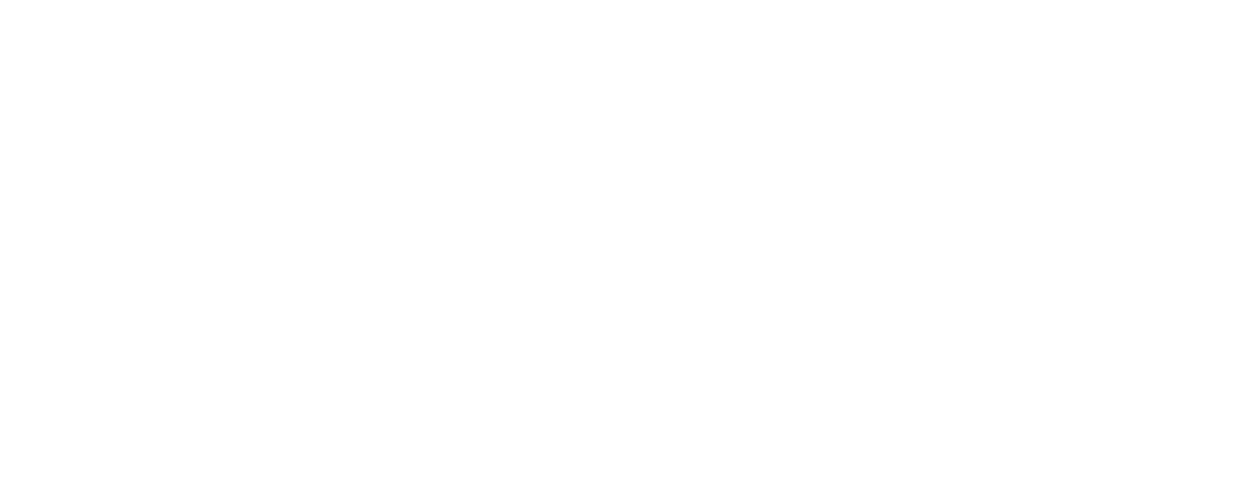 Aura_Nova_Guzellik_Log_Bo